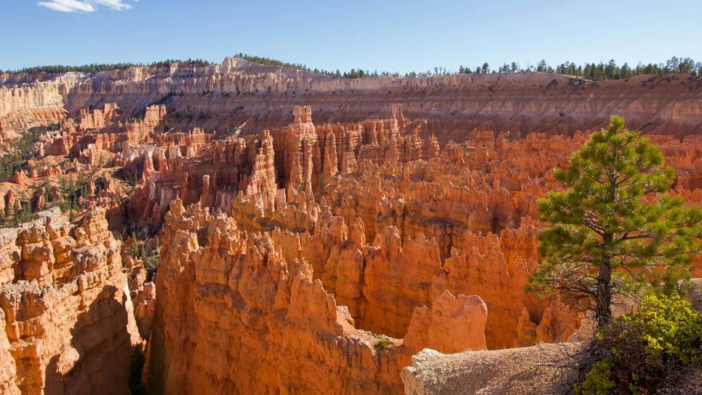 An image of the bryce canyon